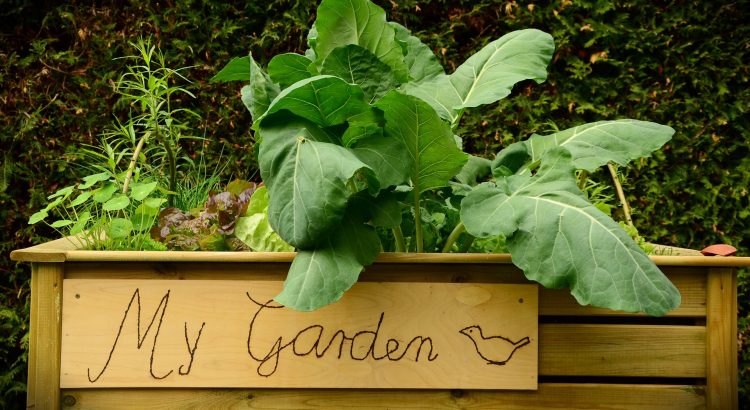 Hochbeet im Garten